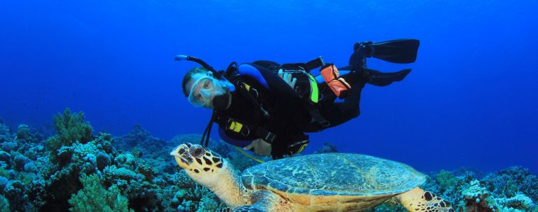 Scuba Diver and Sea Turtle